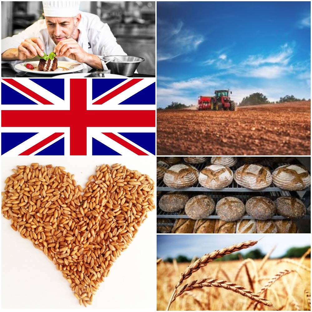 CraggsandCo's tweet photo. 📣Calling Farm Shop, Food Hall &amp; Deli's📣
Our range of award-winning ancient grain flours are perfect for your home baking section
•High in fibre
•High in protein
•Good gut health
•British produce
•Sustainably farmed
•Low MOQ
•Prices include delivery &amp; recipe cards https://t.co/16Flp4xCHF