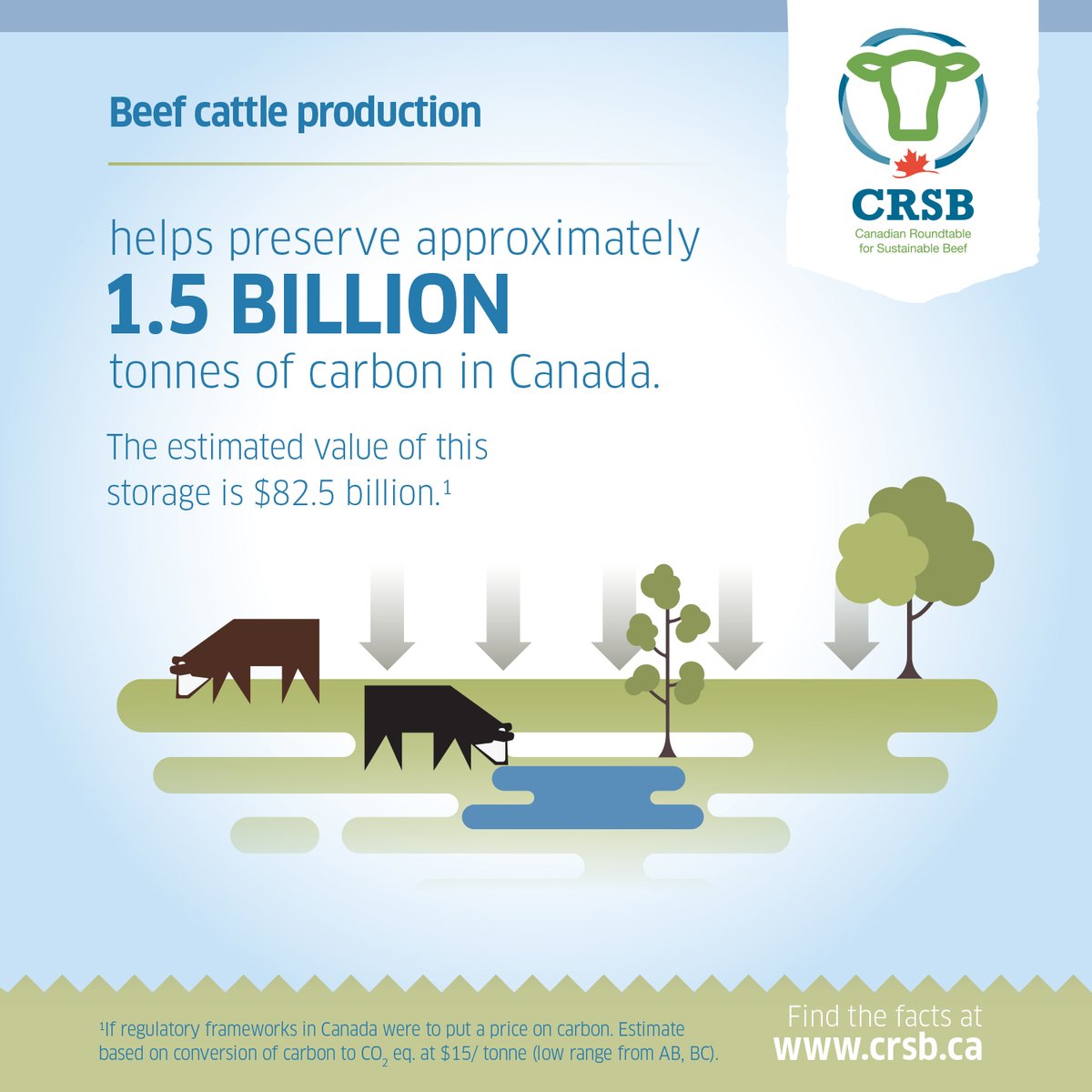 CRSB_beef's tweet photo. Have you heard of a #carbonsink? As cattle graze on pasture, carbon is removed from the air and sequestered into the plants as they re-grow, which helps preserve approximately 1.5 billion tonnes of carbon in Canada. #beefbelongs #sustainability #carbonsequestration https://t.co/Z1FCZOqAHB