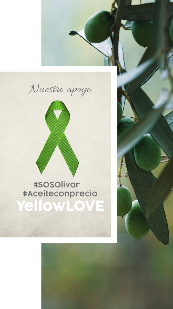 Todo nuestro apoyo al sector #oleicola a la precaria situación que nuestros agricultores y familias están viviendo. #SOSOlivar #AceiteconPrecio