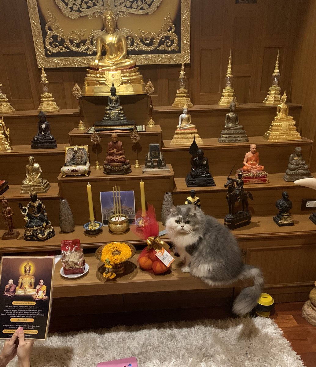 milynminnie's tweet photo. พุทธัง สะระณัง คัจฉาเมี๊ยว https://t.co/E1JNlCHRbN