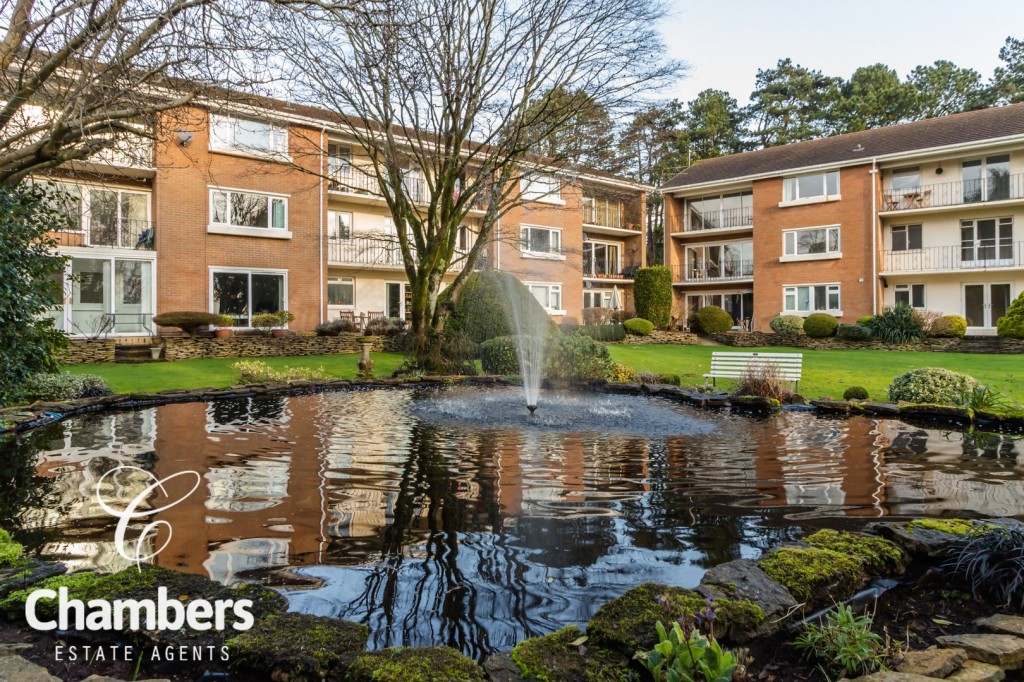 Chambers tweet media