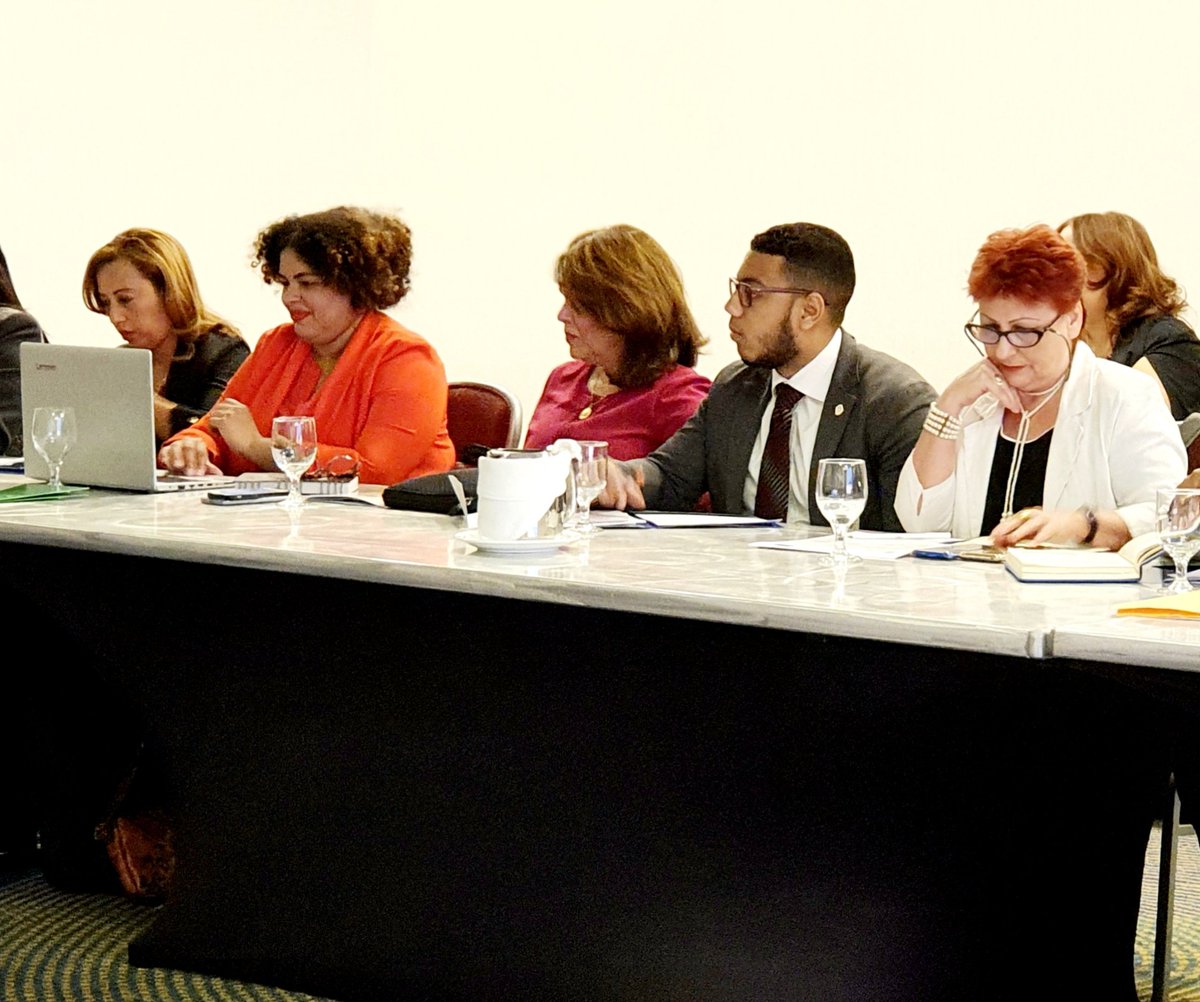 PARAP_II's tweet photo. Ahora @Celeniavp Directora General @InapRD Presenta el Plan de Acción de la Institución y valora el trabajo desempeñado por nuestra Jefa de Asistencia Técnica @sonia_chirinos apoyando las labores de #INAPRD en materia de capacitación.
#PARAPII #UniónEuropeaRD https://t.co/RYxdb4DKtJ