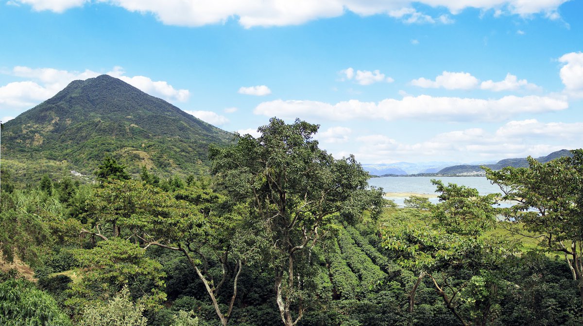 By working for improved environmental legislation, we’re helping #GuatemalanCoffee farmers become more sustainable in specialty coffee production.