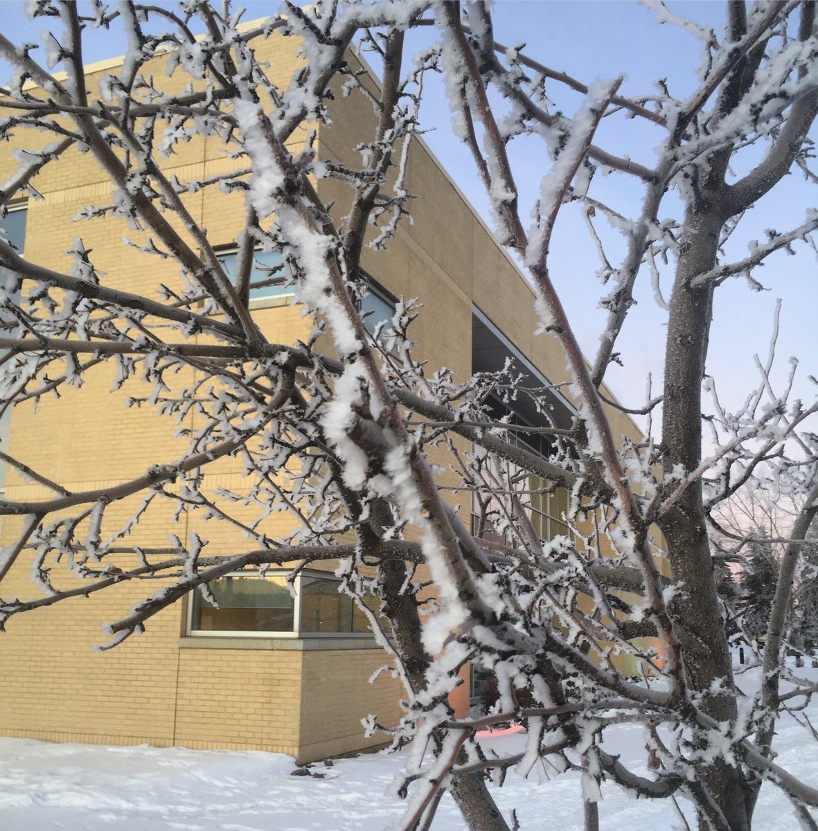 BLegaree's tweet photo. A frosty morning at Keyano College. Unfortunately, the photo is not nearly as beautiful as the real thing. #KeyanoCollege #Keyanomoments2020 
@PresTrent #ymm #Icantbelieveitsjanuary #frost #treesarebeautiful #beauty #ifonlywinterwerealwaysthisnice https://t.co/cMSLRnApq7