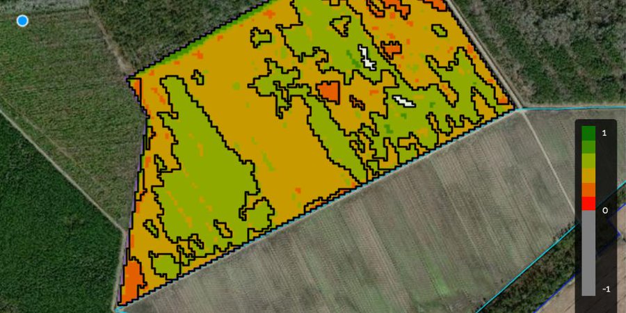 Syngenta's tweet photo. #FarmShots helps #farmers keep track of 🌱 plant health:  
🕐 Less time 
🐛 More treatable 
🚜 Prevent overuse of inputs 
📏 measure effectiveness  
Find out more about how FarmShots works: https://t.co/kqPSrKbGXl #AgTech #DigitalAg https://t.co/L72E2hZUny