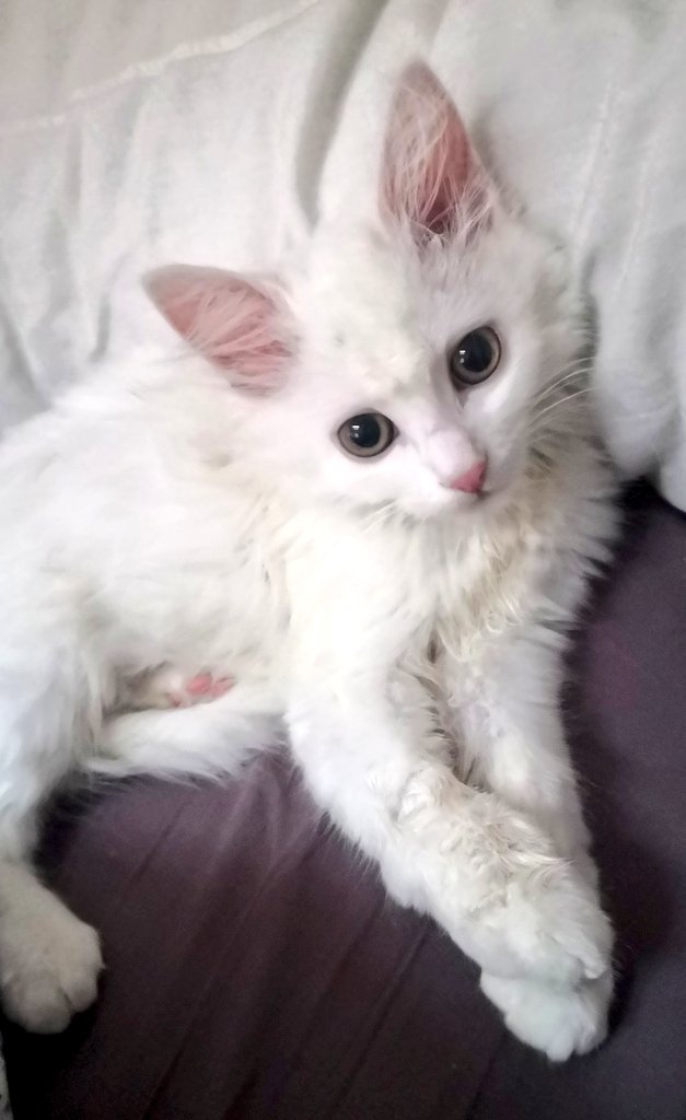 🅲🅻🅾 tweet media