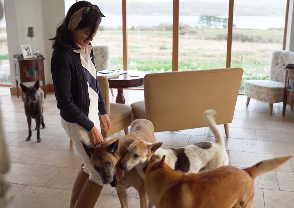 yaycork's tweet photo. This lovely documentary features six Cork people and their amazing rescue dogs 😍https://t.co/XCdVUZPC09 https://t.co/fQ9avwMZiG