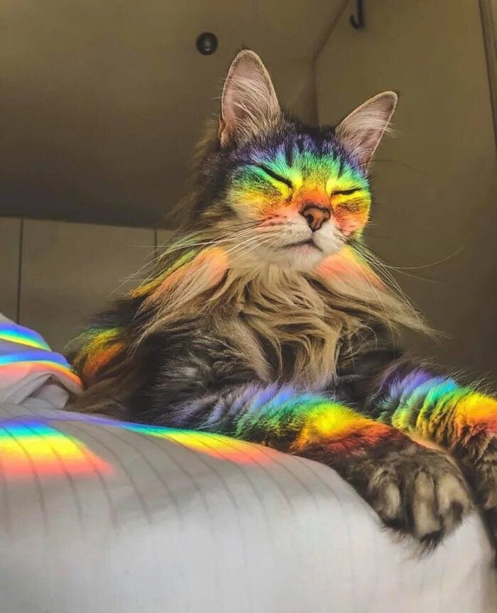 Mood: