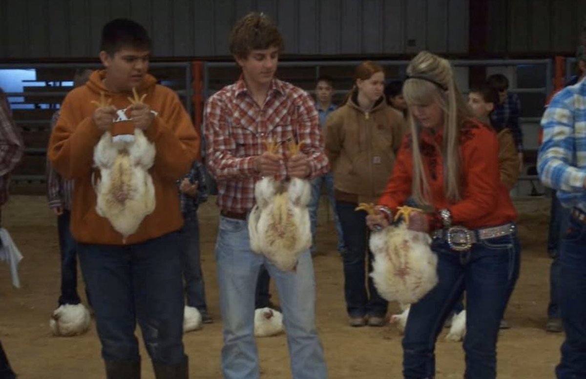 _MrsTerrySHS's tweet photo. With the SBISD FFA show and sale this weekend, I figured I would share some throwbacks to my glory days... #FFAforlife https://t.co/gqHbAJcLMS