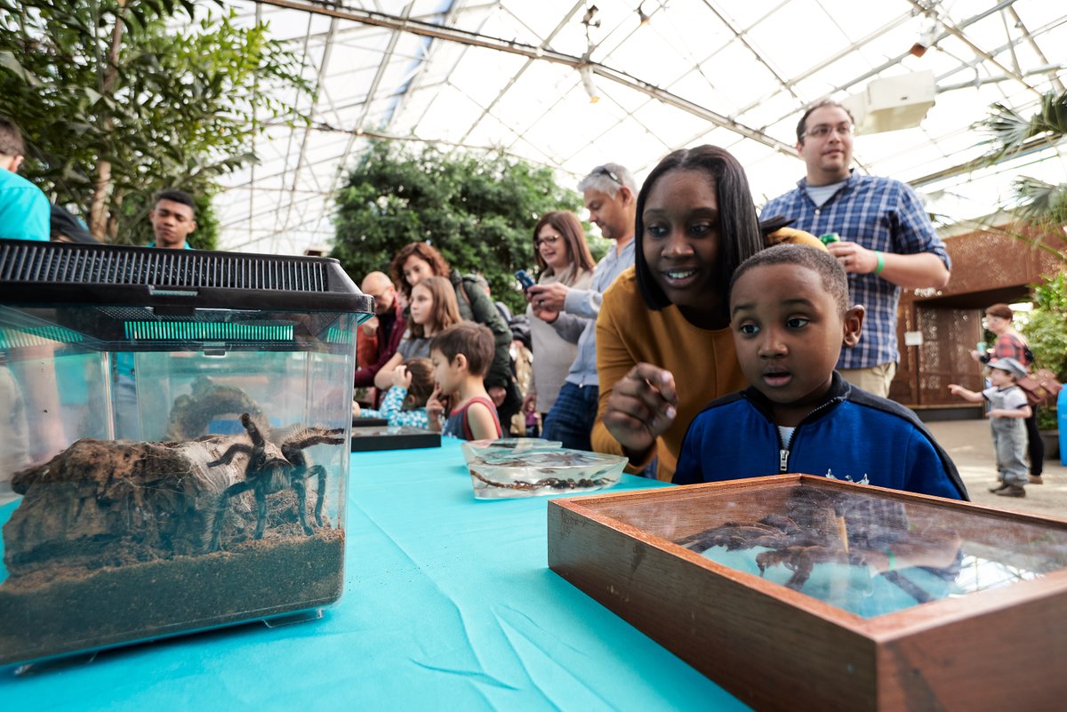 myphillypark's tweet photo. There are tons of fun things planned during Getaway at #TheGreenhousePHL Feb 1-16:
📚 Drag Queen Story Time
🎨 Arts and crafts with @DesignPhilly
🐵PBS Kids Curious George activities w/@whyy
🎶Live DJ sets with @RECphilly
+ more!
📆View the lineup here 👉https://t.co/f5mFbD197R https://t.co/tQR9In5lUQ