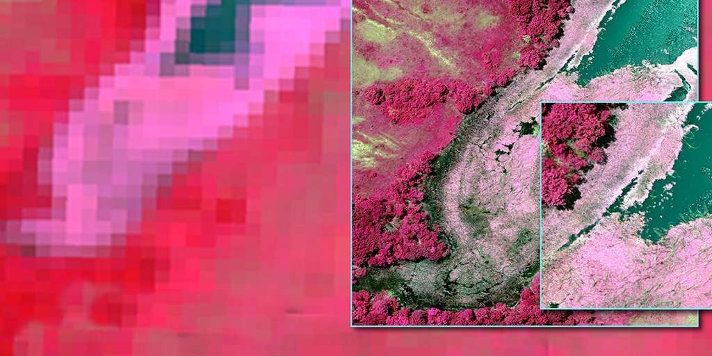 MicaSense's tweet photo. Interested in drone/satellite imagery comparison? Register for our webinar! We'll be discussing this and more as we go over applications for 10-band data!
#IflyRedEdge #drones #precisionag #UAV https://t.co/8z8z2zMOnr https://t.co/JySPtBB3w5