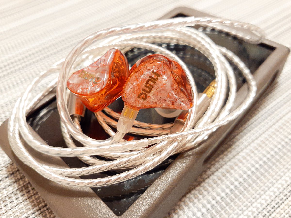 daigo_881T's tweet photo. DUNU-TOPSOUNDのDM480買ってみたけど､シェルがキレイでフィット感も良かったし音もええやん😊
コレはしばらく使ってみてどう変化してくるんかも楽しみ！！
#DUNU #DM480 https://t.co/7qWQrWjutk