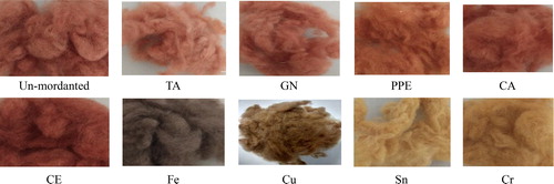 tipublications's tweet photo. Paper
'#NaturalDyeing of #MerinoWool fibers with #CinnamomumCamphora leaves extract with mordants of biological origin: a greener approach of #TextileColoration'
The Journal of The Textile Institute
#TextileDye #WoolDye #EcoDye #BioDye #CamphorTree
https://t.co/chZXAMdZRM https://t.co/fMEjuVFCo1