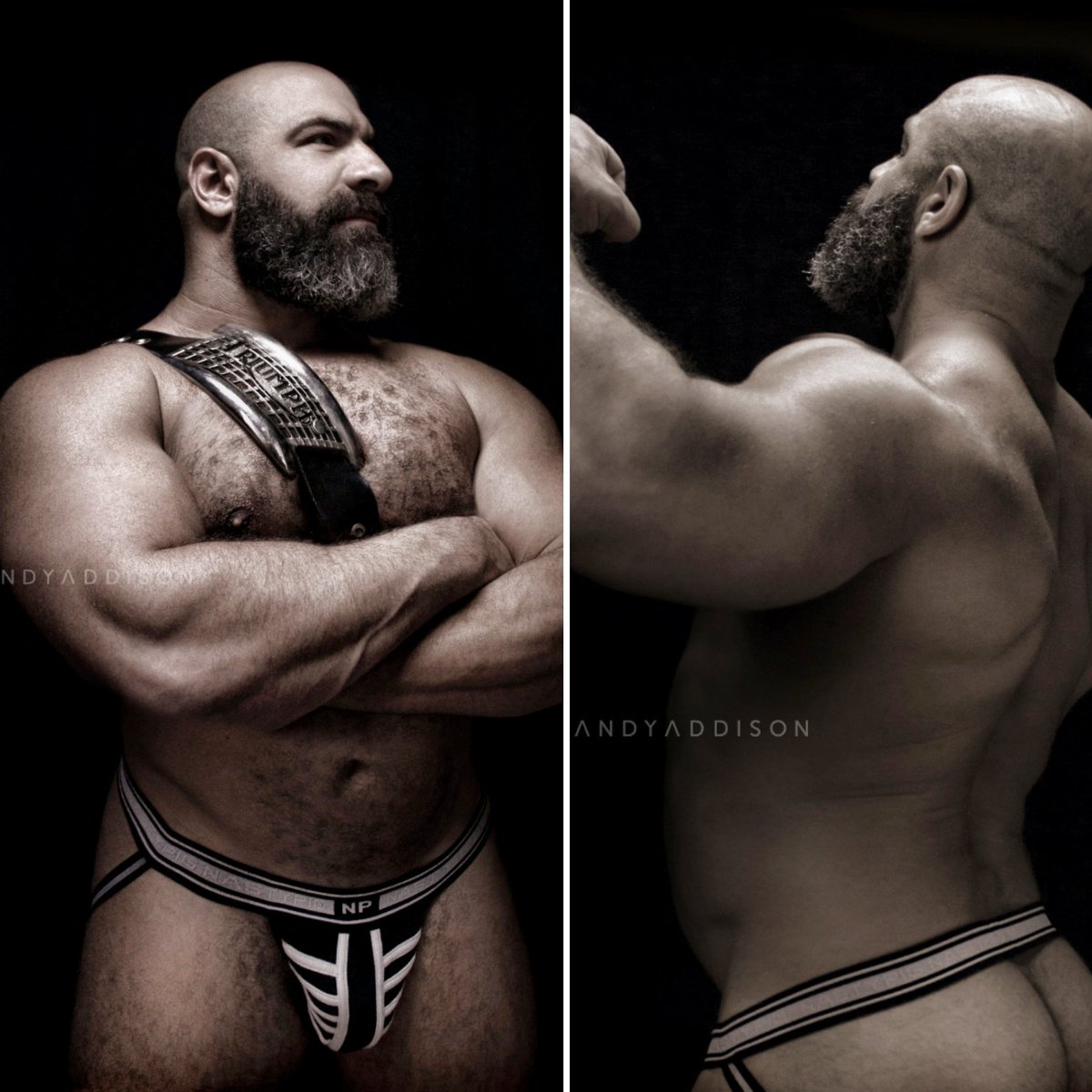 RandyAddison10's tweet image. 