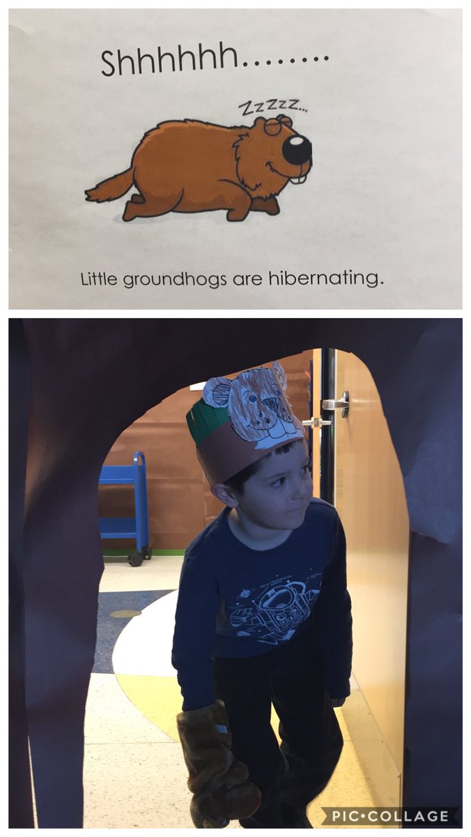 Learning about hibernation in our kindergarten classrooms today! Will the groundhog see his shadow? #slsdproud