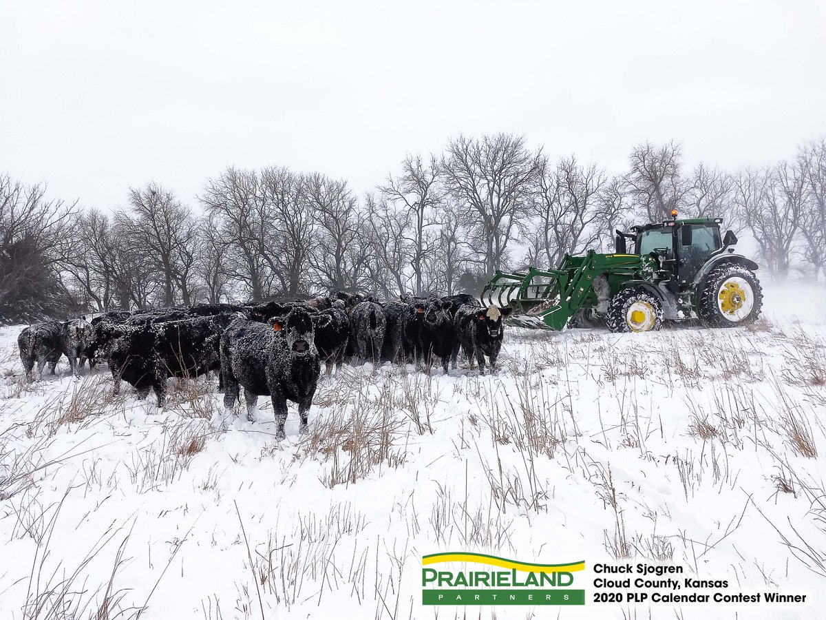 PrairieLandJD's tweet photo. Happy Birthday Kansas 🌻 
#159years #KansasDay

📸 Chuck Sjorgren, 2020 PLP Calendar Contest Winner https://t.co/2MpNKfweP6