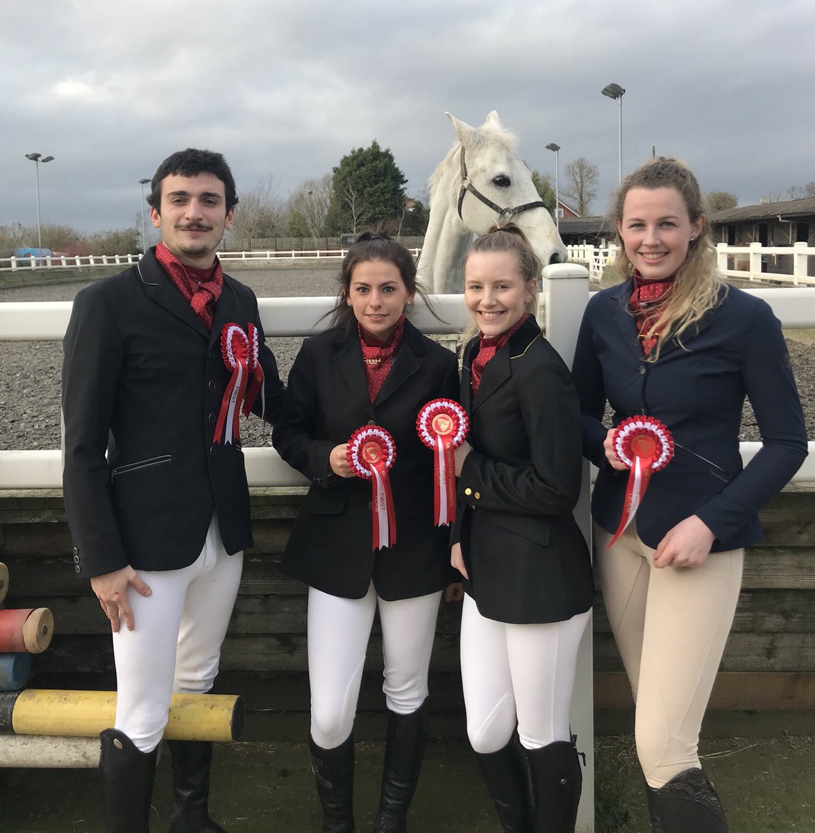 DMUEquestrian tweet media