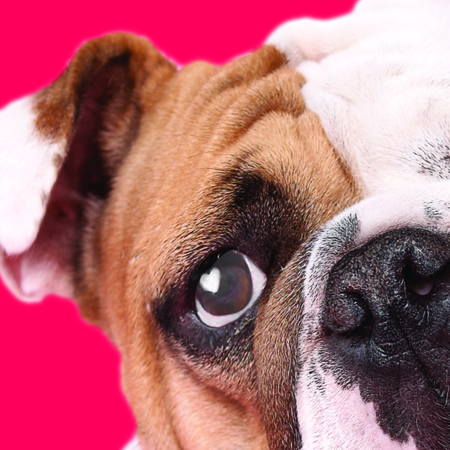 ByDesignDesign's tweet image. Heads up, Valentine's Day is next month!