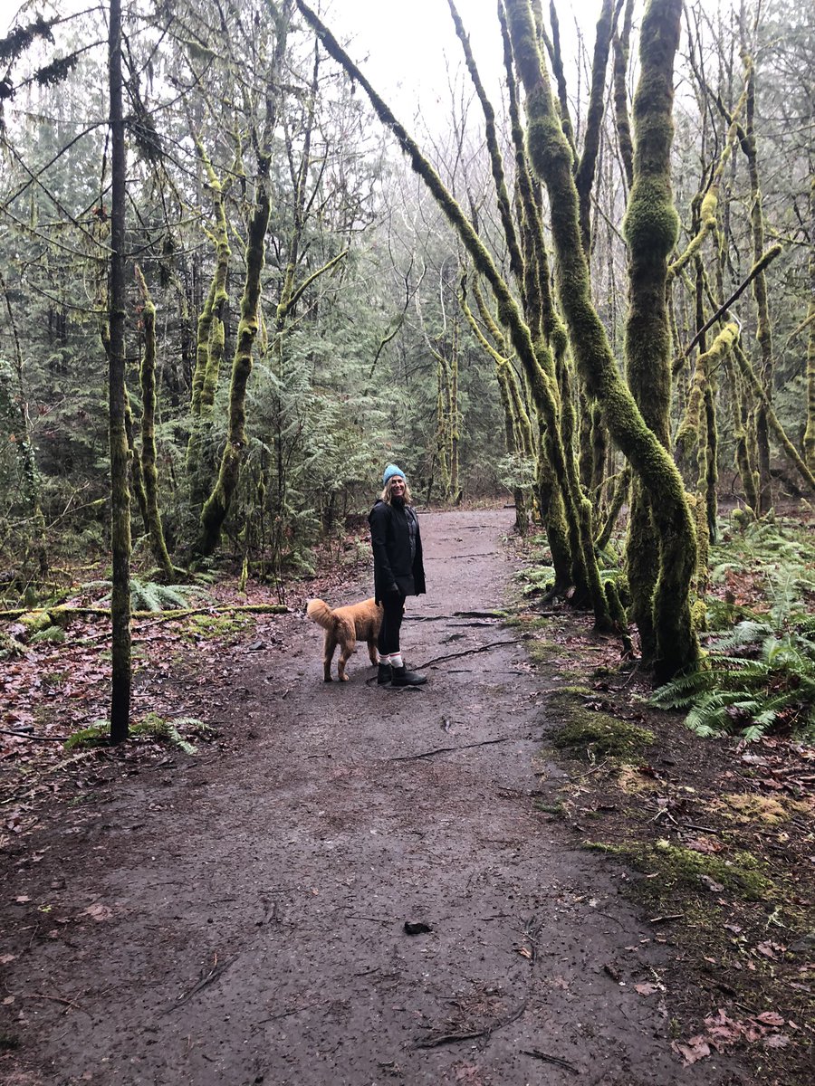 We are all on a continuum of mental health. None of us are 100% mentally healthy and none of us are 100% mentally ill. We need to invest in our mental health. Exercise, food habits, counselling, journaling, yoga &amp; alone time all contribute to mental health for me. #BellLetsTalk