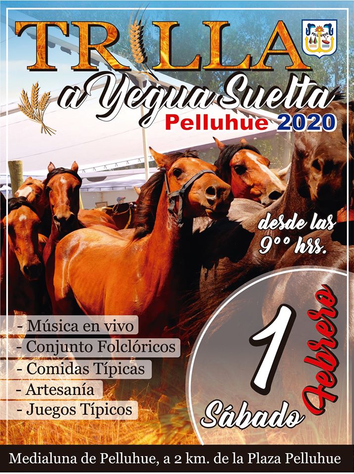 munipelluhue's tweet photo. Ilustre Municipalidad de Pelluhue invita: https://t.co/9SS6ATyFAU