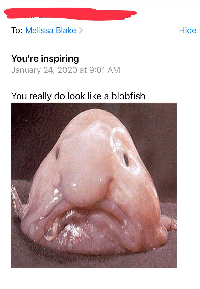 Clara on X: @melissablake But a blob fish only looks like that