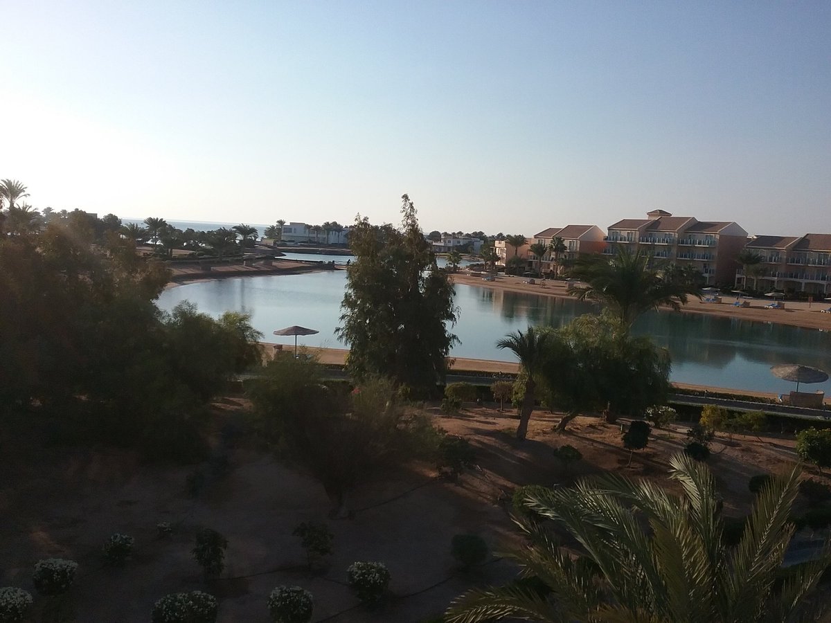 3arabawiya's tweet photo. #ThisIsEgypt #thisisegypt #Algouna https://t.co/nSOMrXc7aP