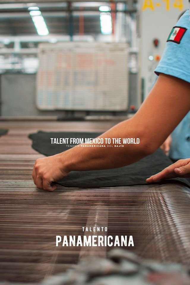 TePanamericana's tweet photo. TALENT FROM MÉXICO TO THE WORLD. 🌎🇲🇽️
#TeneriaPanamericana #DoItInLeather #Tannery #Leather #TalentoPanamericana https://t.co/I8GbM6SSiL