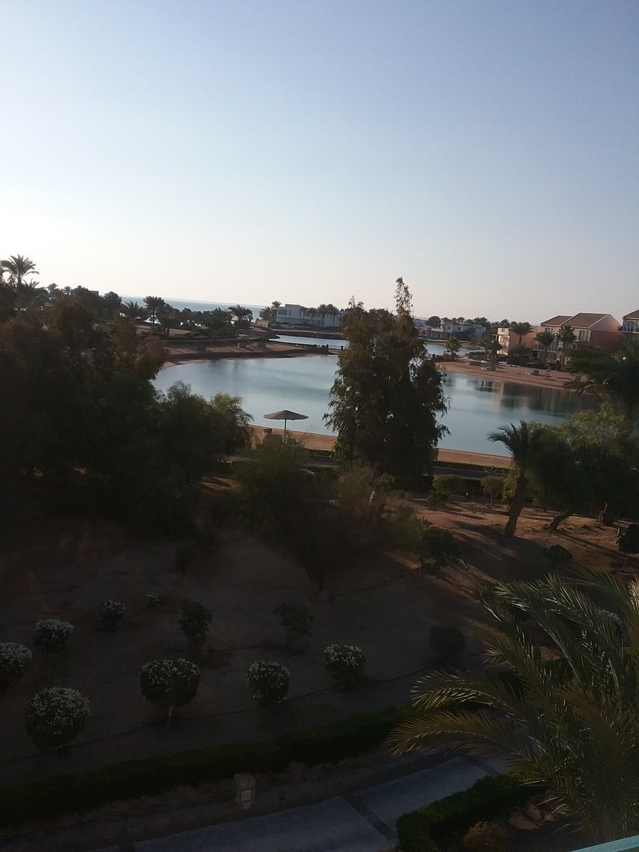 3arabawiya's tweet photo. #ThisIsEgypt #thisisegypt #Algouna https://t.co/mxbq64vNQr