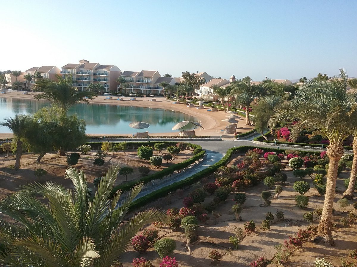 3arabawiya's tweet photo. #ThisIsEgypt #thisisegypt #Algouna https://t.co/mxbq64vNQr