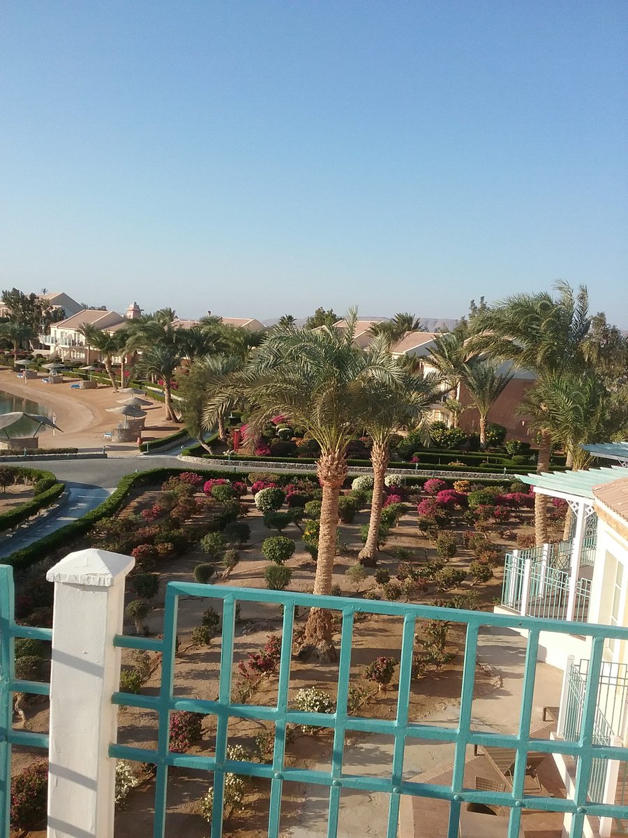 3arabawiya's tweet photo. #ThisIsEgypt #thisisegypt #Algouna https://t.co/mxbq64vNQr