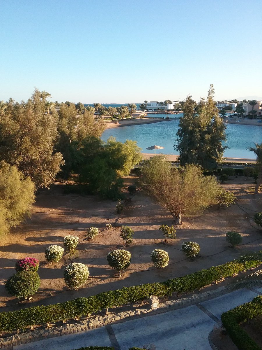 3arabawiya's tweet photo. #ThisIsEgypt #thisisegypt #Algouna https://t.co/mxbq64vNQr