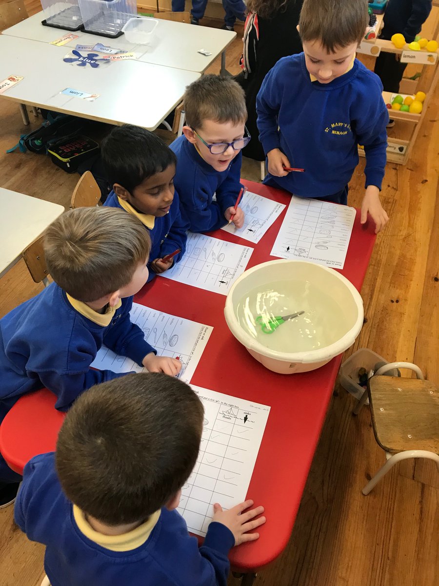 nenaghcns's tweet photo. This week Ms Moloney’s Junior Infants have been learning about floating & sinking #science #sese #floatandsink #aistear #learningthroughplay https://t.co/Lv1kKYDZ4u