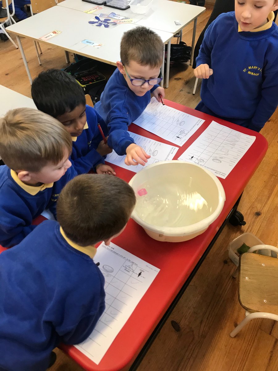 nenaghcns's tweet photo. This week Ms Moloney’s Junior Infants have been learning about floating & sinking #science #sese #floatandsink #aistear #learningthroughplay https://t.co/Lv1kKYDZ4u