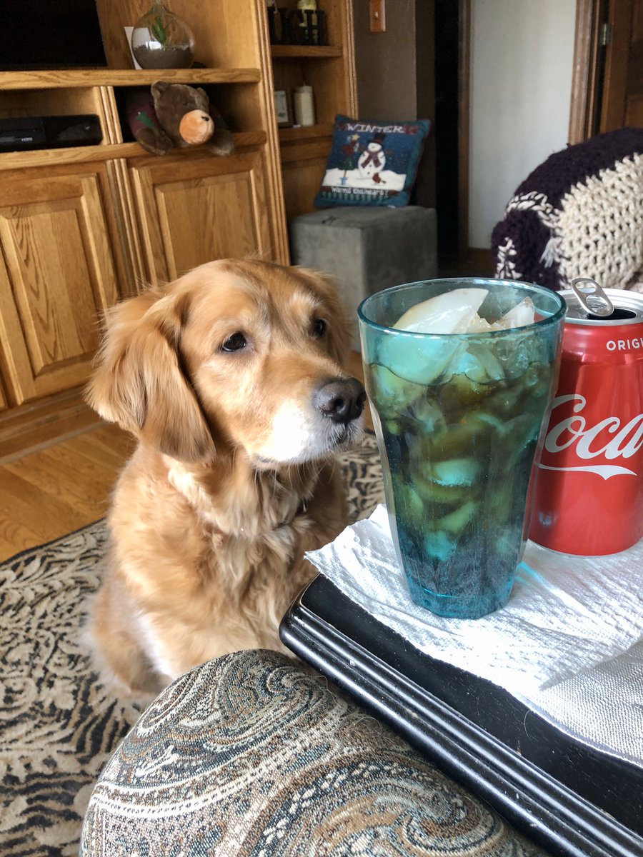 FinleyGolden's tweet photo. Hey, today is my 6th birthday and one of my favorite things is having ice cubes with Coca-Cola on ‘em.  Come on man, give one up, huh? I’m waiting! https://t.co/qUCJgG4l4F
