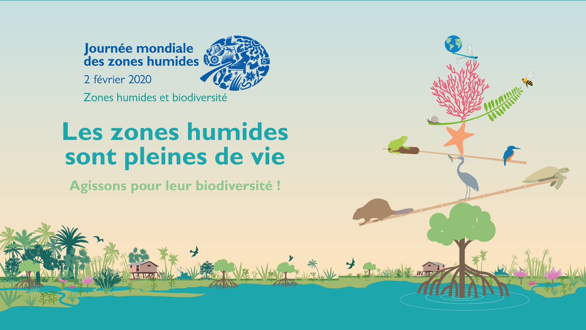 OFBiodiversite's tweet photo. Ce vendredi 31, la Journée mondiale des #ZonesHumides2020 sera lancée à St-Omer (62) !
🎬 Pour clôturer cette journée, la projection du film « La terre vue du cœur » sera suivie d'une conférence. #WorldWetlandsDay #biodiversité @RamsarConv
Programme 👉 https://t.co/odYw2j82Xt https://t.co/6SFCkkwGG2