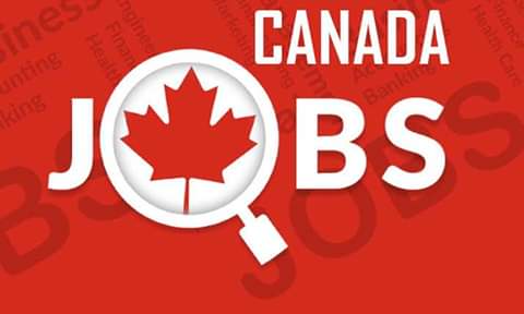 #Indianembassy in Canada immigration+1(301)5786629 tweet media
