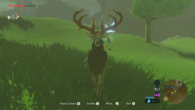 #BreathoftheWild #NintendoSwitch https://t.co/LSJ8r8dBHd<a href="/tag/breathofthewild"class="tags">#BreathoftheWild</a><a href="/tag/nintendoswitch"class="tags">#NintendoSwitch</a>
