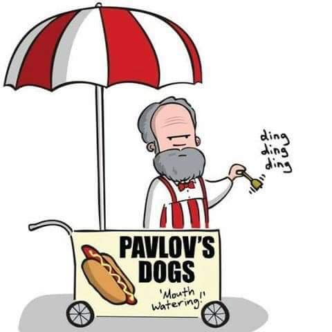 PipsDogs's tweet photo. Let's go Naptown! 🌭❤ #dta #getyourlunchon #annapolis #hotdogs #thathotdoglife https://t.co/koKJAGpqit