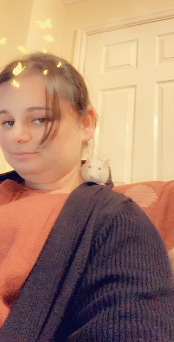 The girls are helping me with my novel. Or just hiding lols #WritingCommunity #pets #amwritingfantasy