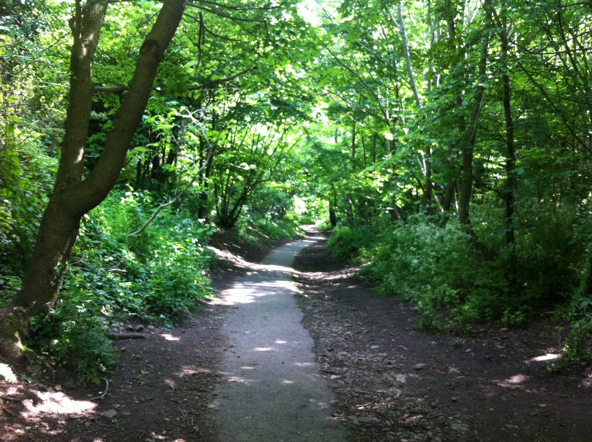 Trees and path in Badocks Wood