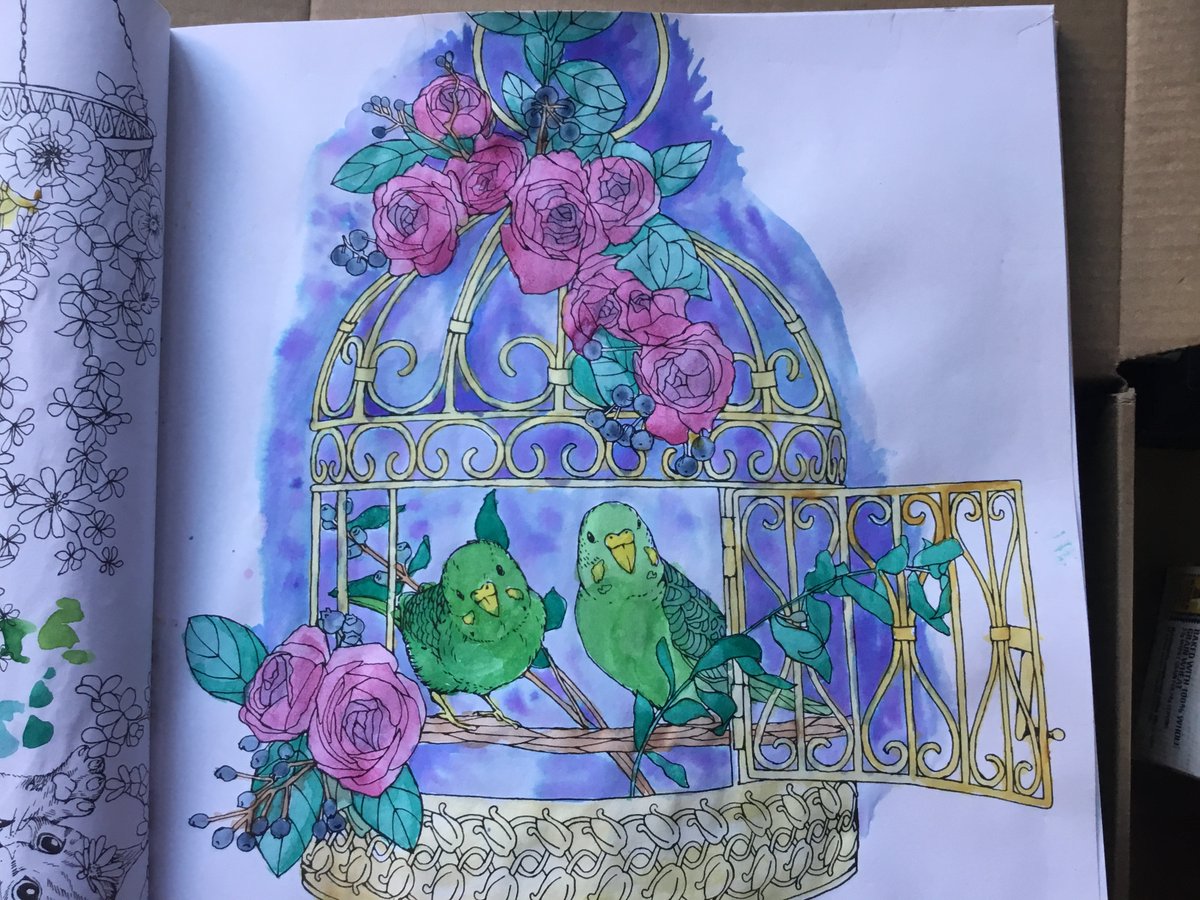 Coloring book page depicting birds in a cage which has been painted with watercolor 
