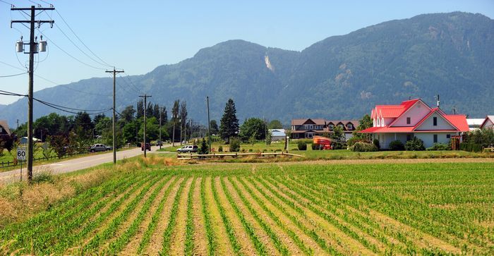 IanPatonDelta's tweet photo. Over 70% of farms in BC are small farms. Farmers have had to fight tirelessly just to be heard. I, and the @bcliberals will continue to stand up for farmers, their property and their rights!
#bcpoli #BCAg #BCALR @BCLiberalCaucus
https://t.co/qpOgYMv5pP https://t.co/Dt4F5Kvj9R