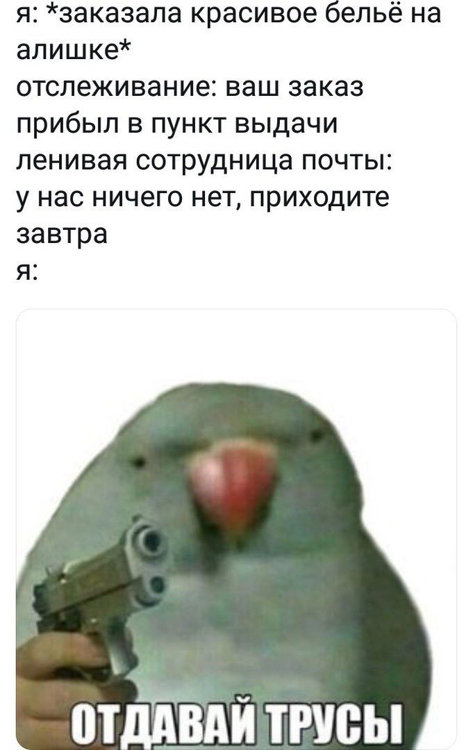 ЗЭЧКА 🤘🏿👸🏿 tweet media