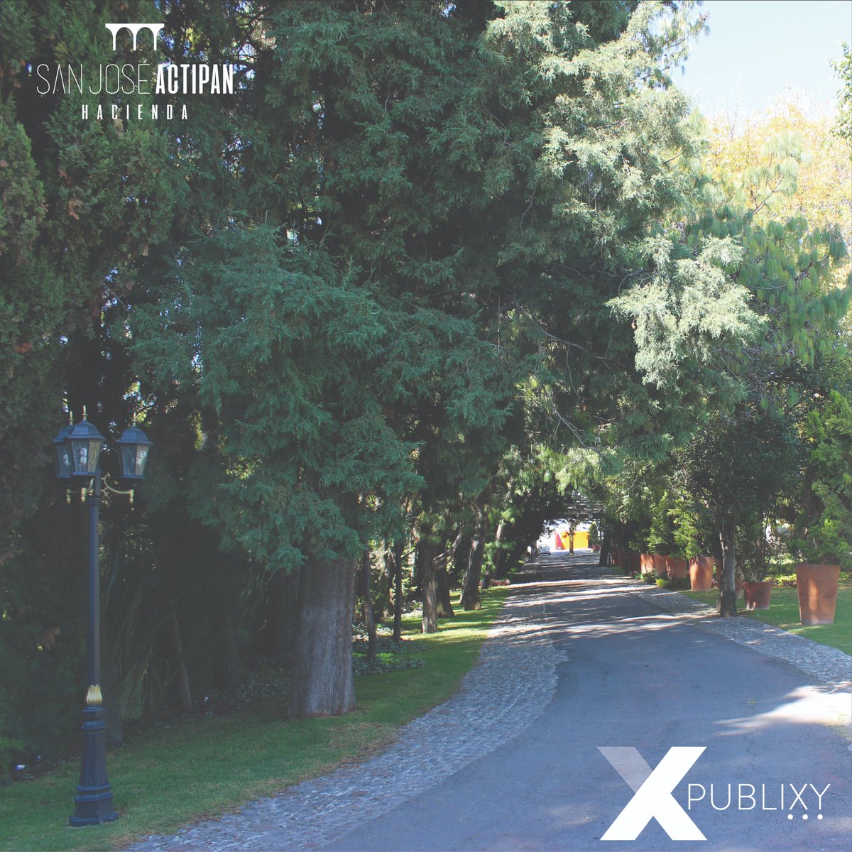 PublixyInfo's tweet photo. “Recuerda: los eventos son efímeros. Lo que perdura son las emociones” -Anónimo-

#mirales #Publixy #Miyis #ecofriendly https://t.co/7w3vaeLXRy