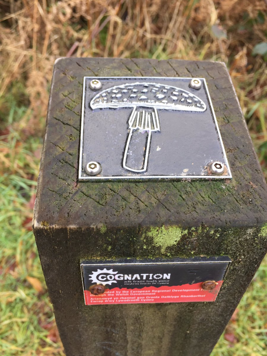 myworkingweek's tweet photo. A visit to Cwmcarn Forest to see what attracts visitors here for my L3 Countryside management learners. 🥾🦆🌲🌳🚴♀️🏕☕️ @coleggwent @visitwales #mbwales #trails #countryside #outdoorlearning #recreation https://t.co/hTO7IirWNR
