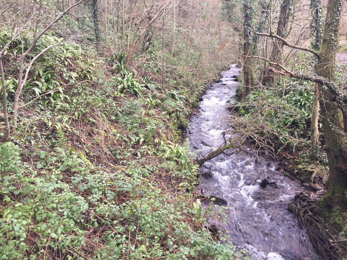 myworkingweek's tweet photo. A visit to Cwmcarn Forest to see what attracts visitors here for my L3 Countryside management learners. 🥾🦆🌲🌳🚴♀️🏕☕️ @coleggwent @visitwales #mbwales #trails #countryside #outdoorlearning #recreation https://t.co/hTO7IirWNR