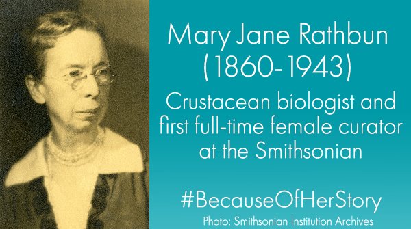 Vintage black-and-white, head and shoulders photo of Mary Jane Rathbun from the Smithsonian Institution Archives. Text: Mary Jane Rathbun (1860-1943). Crustacean biologist and first full-time female curator at the Smithsonian.