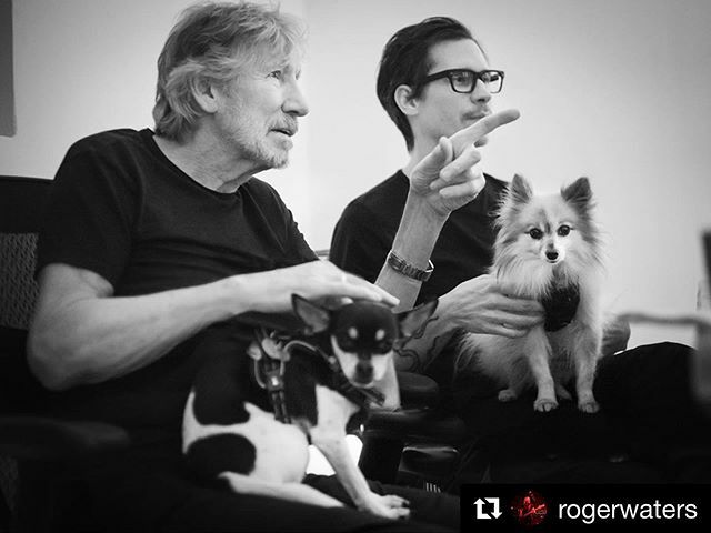 deadskinboy's tweet photo. #Repost @rogerwaters with @get_repost
・・・
WORKING!  THIS IS NOT A DRILL. SEE YOU IN JULY!

@rogerwaters @deadskinboy 🐶🐶 📸: @kate.izor https://t.co/B152emk7O3 https://t.co/2Badg9Sf0r