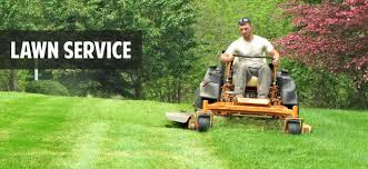 sam_landscape's tweet photo. Sam I AM Lawn &amp; Landscape employs experienced workers with the right tools needed to tackle your lawn care challenges with speed 727-461-0240 #Landscapedesign #Landscaping #Landscaper #LandscapingService #LawnMaintenance #lawncareservices #lawnservices #lawncare https://t.co/PPDFnnby99