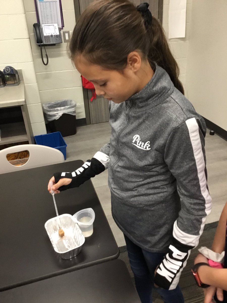 PAustinScience's tweet photo. Changes to the Earth’s surface lab
#ClarkConnects https://t.co/DT5vfOApYj